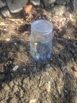 김용대님의 자유주제·자유게시판 작성글 사진