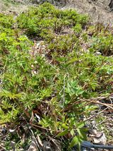 박수연님의 자유주제·자유게시판 작성글 사진