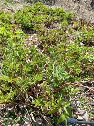 박수연님의 자유주제 · 자유게시판 작성글 사진