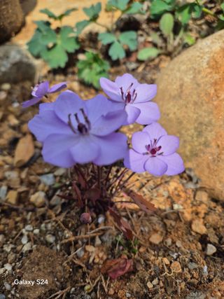 김정술님의 자유주제 · 자유게시판 작성글 사진