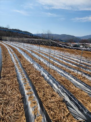회사원&초보농사꾼님의 자유주제 · 자유게시판 작성글 사진