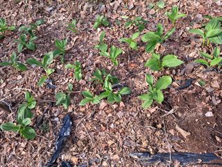 영흥천국님의 자유주제 · 자유게시판 작성글 사진