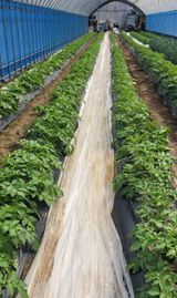 심기섭님의 자유주제·자유게시판 작성글 사진