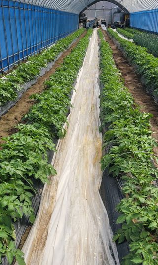 심기섭님의 자유주제 · 자유게시판 작성글 사진