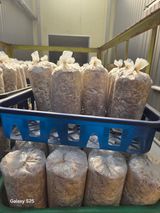 벼13991님의 자유주제·자유게시판 작성글 사진