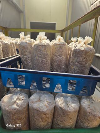 벼13991님의 자유주제 · 자유게시판 작성글 사진