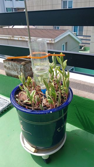 론멜님의 자유주제 · 자유게시판 작성글 사진