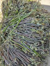 팜모닝 · 게시글 이미지