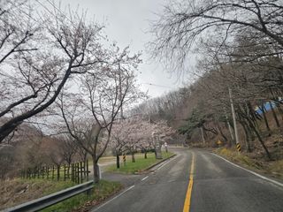 백용기님의 자유주제·자유게시판 작성글 사진