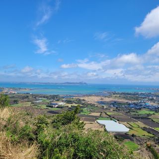 서귀포달코롬감귤농원님의 자유주제 · 사진전 작성글 사진