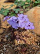 김정술님의 자유주제·자유게시판 작성글 사진