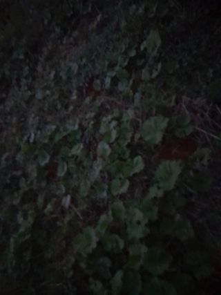 김민수산에서농사중님의 자유주제 · 자유게시판 작성글 사진