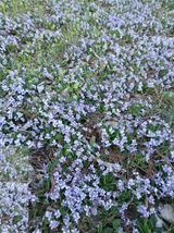 인생은 소풍처럼~님의 자유주제·자유게시판 작성글 사진