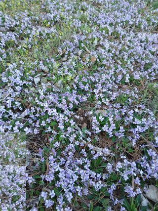 인생은 소풍처럼~님의 자유주제 · 자유게시판 작성글 사진