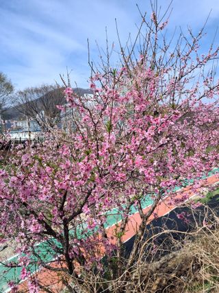 MSG0074님의 자유주제 · 자유게시판 작성글 사진