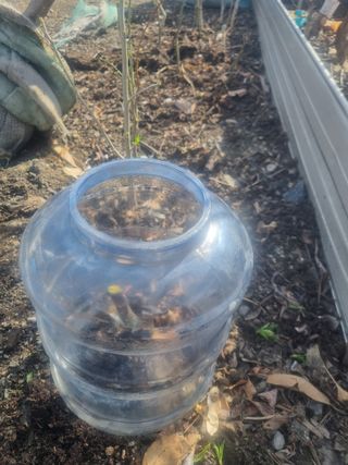 김용대님의 자유주제 · 자유게시판 작성글 사진