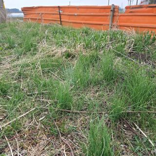 솔향가님의 농사, 무엇이든 물어보세요! · 참여글 작성글 사진