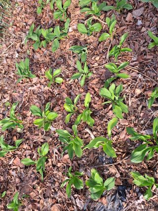 영흥천국님의 자유주제 · 자유게시판 작성글 사진