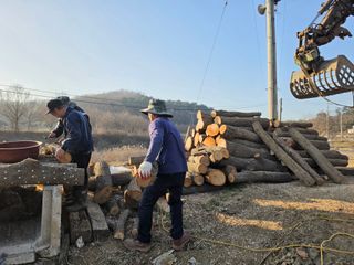 노희식님의 자유주제 · 자유게시판 작성글 사진