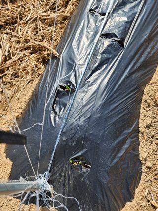 회사원&초보농사꾼님의 자유주제 · 자유게시판 작성글 사진