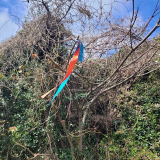 서귀포달코롬감귤농원님의 자유주제 · 사진전 작성글 사진