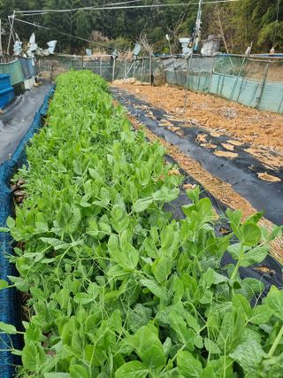 김선두님의 자유주제 · 자유게시판 작성글 사진