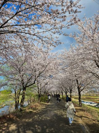보람농장님의 자유주제 · 자유게시판 작성글 사진