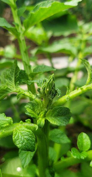 심기섭님의 자유주제·자유게시판 작성글 사진