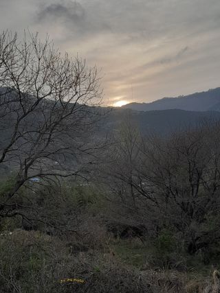 김민수산에서농사중님의 자유주제 · 자유게시판 작성글 사진