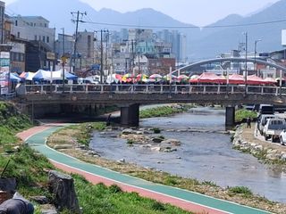 MSG0074님의 자유주제 · 자유게시판 작성글 사진