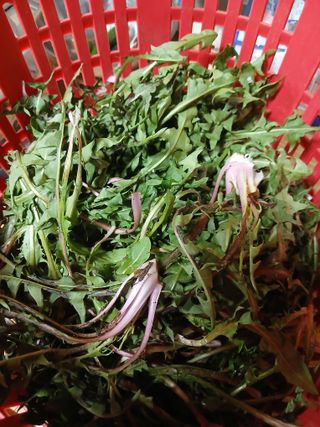 박수연님의 자유주제 · 자유게시판 작성글 사진