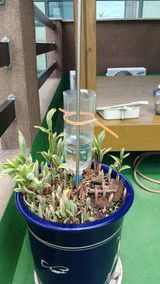 론멜님의 자유주제·자유게시판 작성글 사진