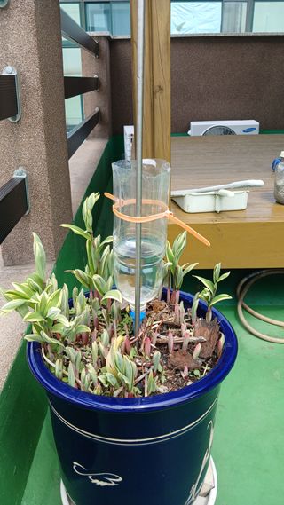 론멜님의 자유주제 · 자유게시판 작성글 사진