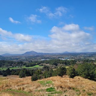 서귀포달코롬감귤농원님의 자유주제 · 사진전 작성글 사진