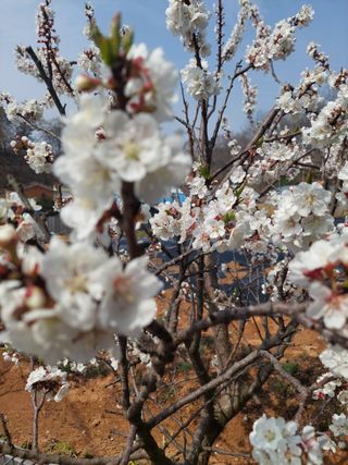 재연농장님의 자유주제 · 자유게시판 작성글 사진