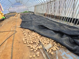 장관덕님의 자유주제 · 자유게시판 작성글 사진