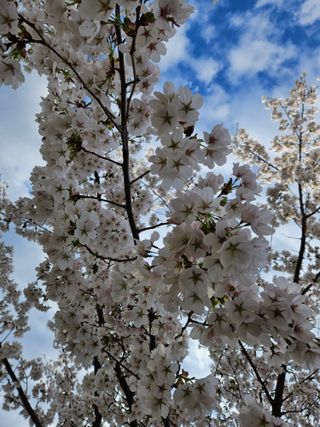 보람농장님의 자유주제 · 자유게시판 작성글 사진