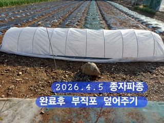 박성민님의 자유주제·자유게시판 작성글 사진