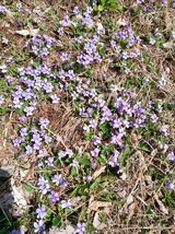 인생은 소풍처럼~님의 자유주제·자유게시판 작성글 사진