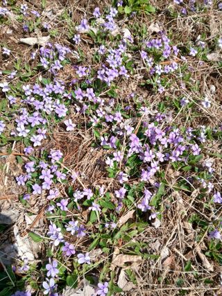 인생은 소풍처럼~님의 자유주제 · 자유게시판 작성글 사진