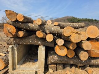 노희식님의 자유주제 · 자유게시판 작성글 사진