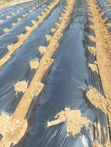 재연농장님의 자유주제·자유게시판 작성글 사진