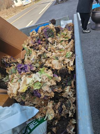 백용기님의 자유주제 · 자유게시판 작성글 사진