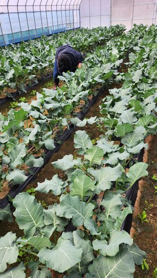 박기철님의 자유주제·자유게시판 작성글 사진