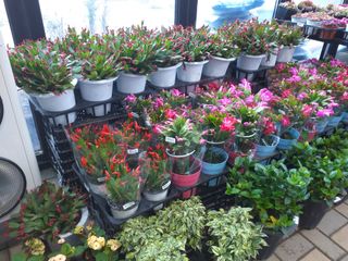 박웅님의 자유주제 · 자유게시판 작성글 사진