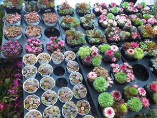 박웅님의 자유주제 · 자유게시판 작성글 사진