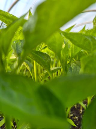 김영진(전남영광)님의 자유주제 · 자유게시판 작성글 사진