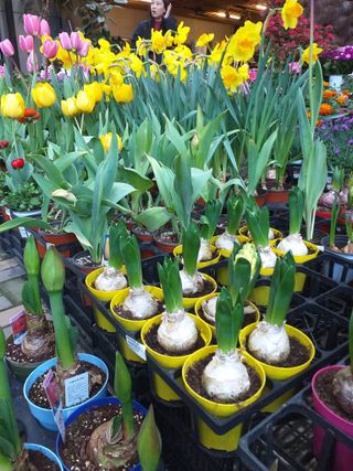 박웅님의 자유주제 · 자유게시판 작성글 사진