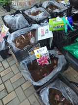 박웅님의 자유주제·자유게시판 작성글 사진