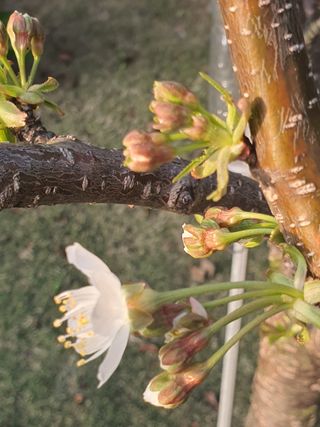 하나라도 소중하게님의 자유주제 · 자유게시판 작성글 사진